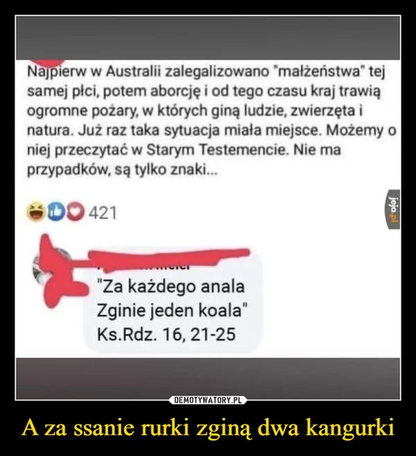 
    A za ssanie rurki zginą dwa kangurki