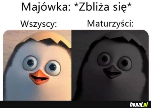 
    Trzymajcie się tam, koło tej matury!