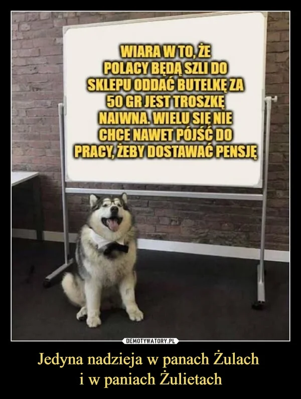 
    Jedyna nadzieja w panach Żulach i w paniach Żulietach