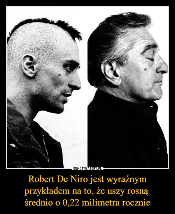 
    Robert De Niro jest wyraźnym przykładem na to, że uszy rosną 
średnio o 0,22 milimetra rocznie