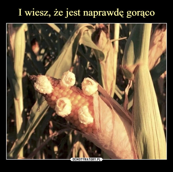 
    I wiesz, że jest naprawdę gorąco