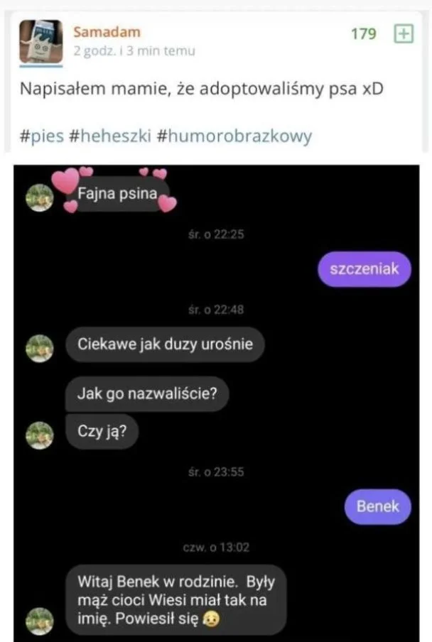 
    Imię dla psa