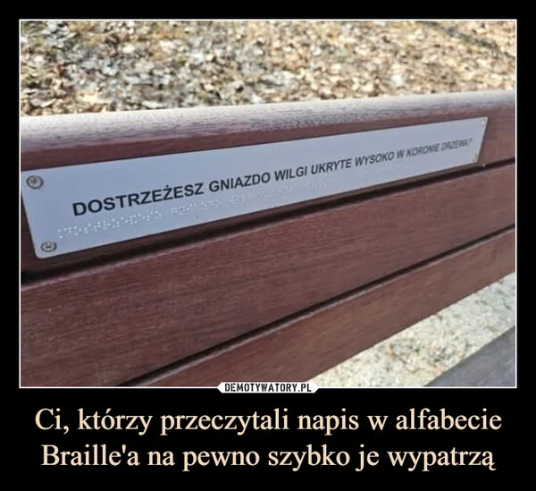 
    Ci, którzy przeczytali napis w alfabecie Braille'a na pewno szybko je wypatrzą