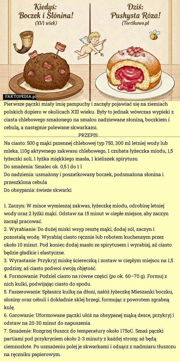 
    Pierwsze pączki miały imię pampuchy i zaczęły pojawiać się na ziemiach polskich