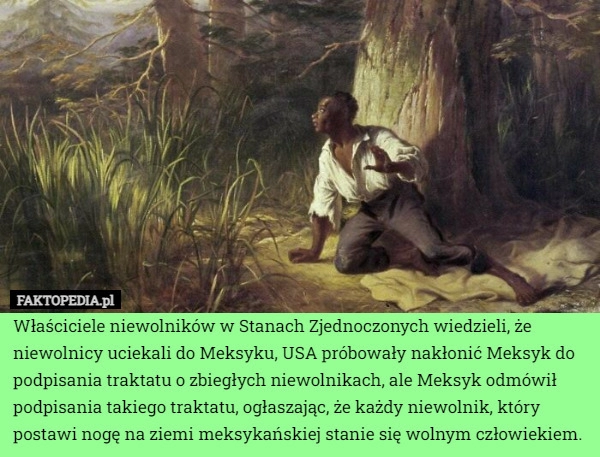 
    Właściciele niewolników w Stanach Zjednoczonych wiedzieli, że niewolnicy