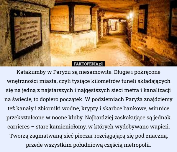 
    Katakumby w Paryżu są niesamowite. Długie i pokręcone wnętrzności miasta...