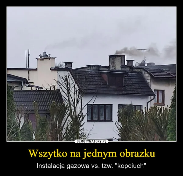 
    Wszytko na jednym obrazku
