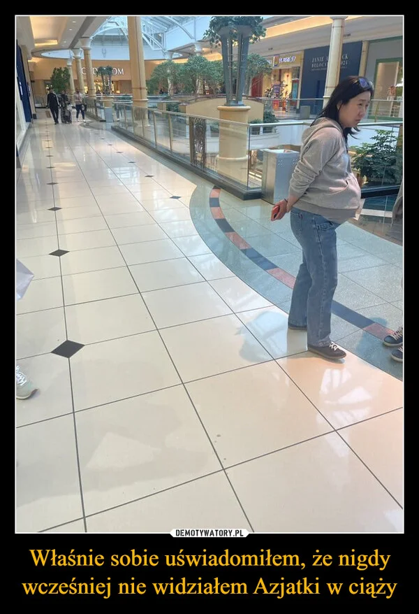 
    Właśnie sobie uświadomiłem, że nigdy wcześniej nie widziałem Azjatki w ciąży