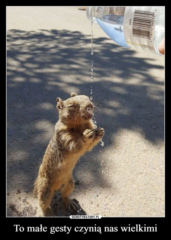 
    To małe gesty czynią nas wielkimi