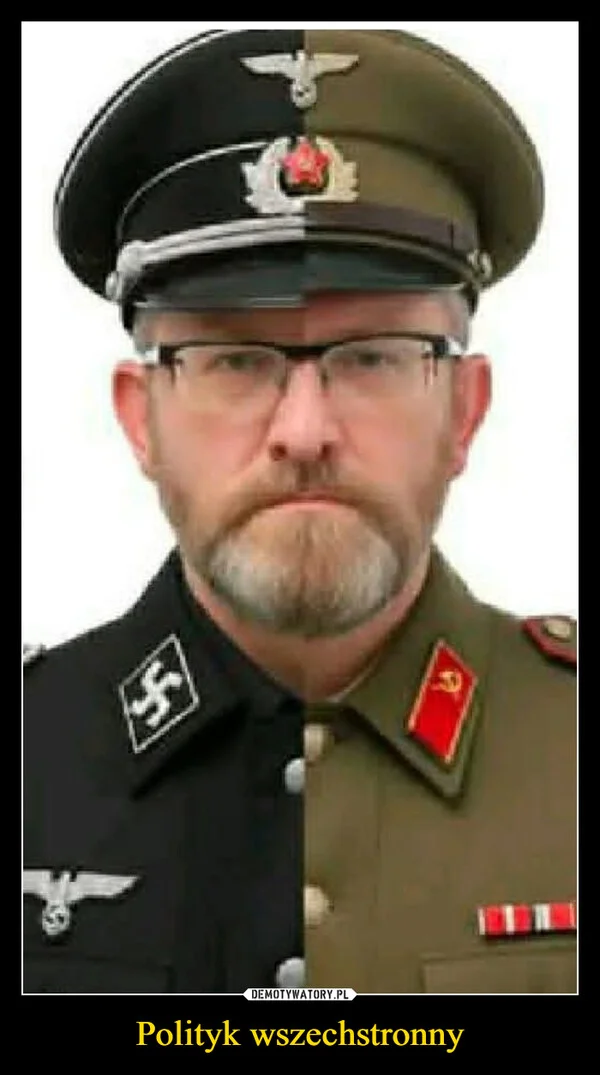 
    Polityk wszechstronny