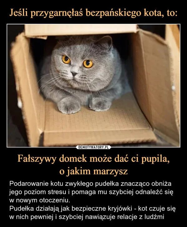 
    Jeśli przygarnęłaś bezpańskiego kota, to: Fałszywy domek może dać ci pupila, o jakim marzysz
