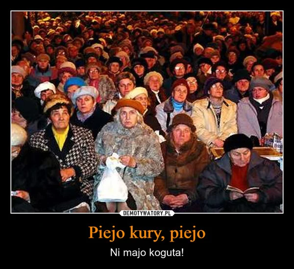 
    Piejo kury, piejo