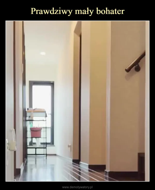 
    Prawdziwy mały bohater