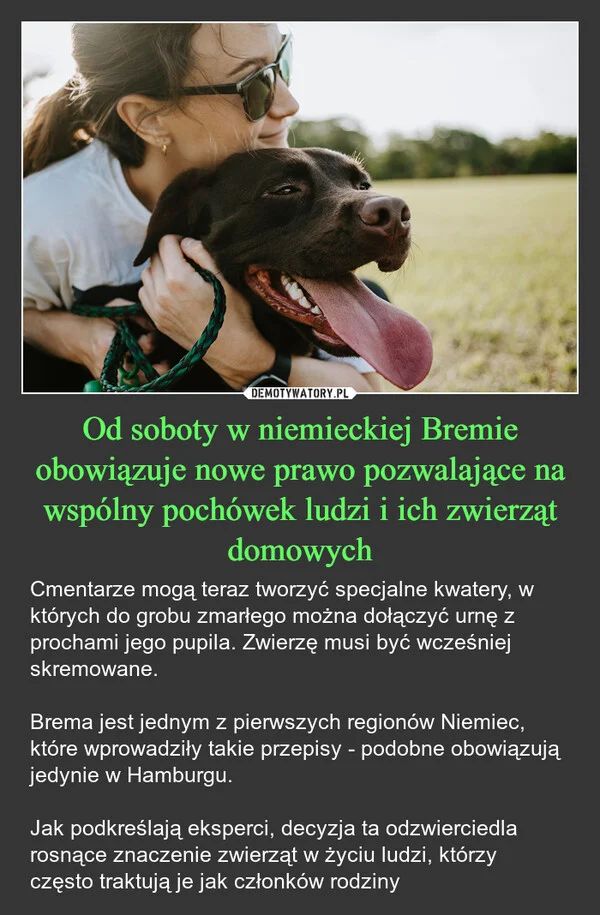 
    Od soboty w niemieckiej Bremie obowiązuje nowe prawo pozwalające na wspólny pochówek ludzi i ich zwierząt domowych