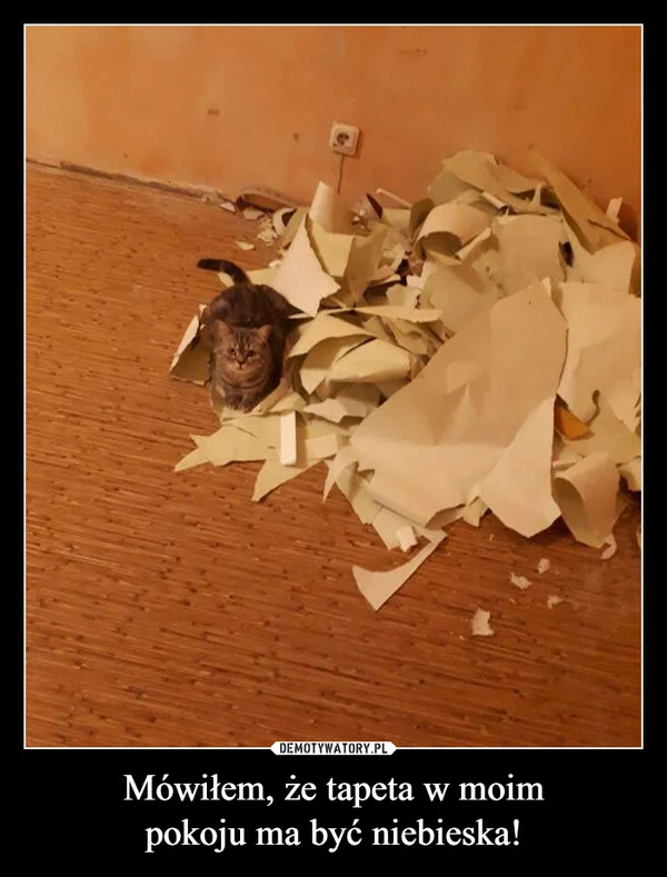 
    Mówiłem, że tapeta w moim pokoju ma być niebieska!