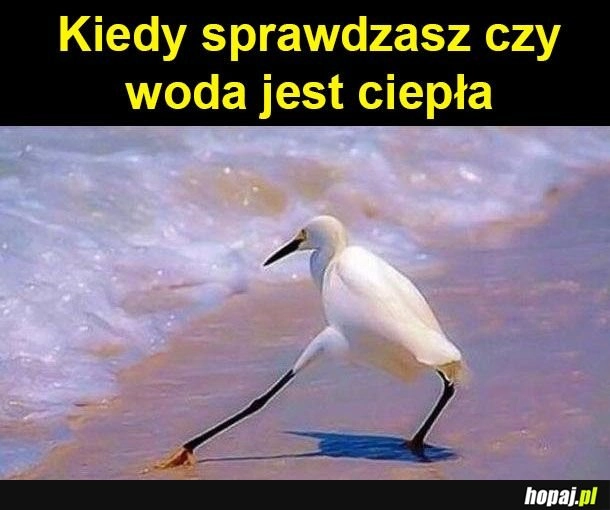 
    Sprawdzanie wody