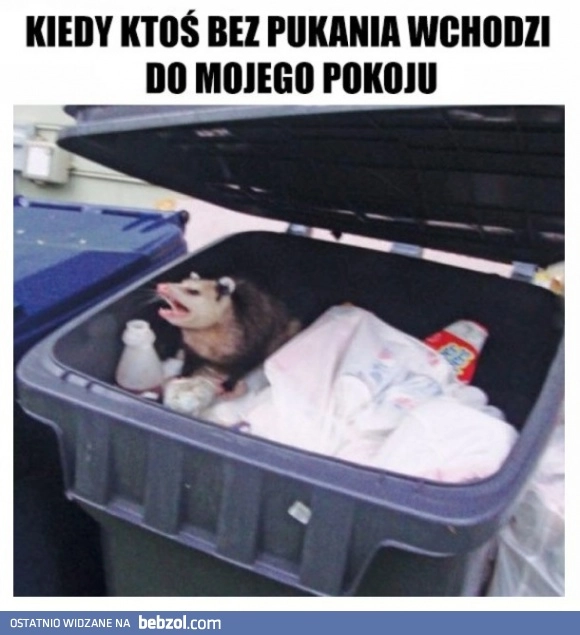 Wyjdź 