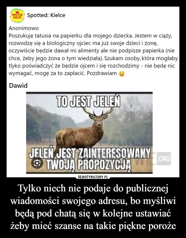 
    Tylko niech nie podaje do publicznej wiadomości swojego adresu, bo myśliwi będą pod chatą się w kolejne ustawiać żeby mieć szanse na takie piękne poroże