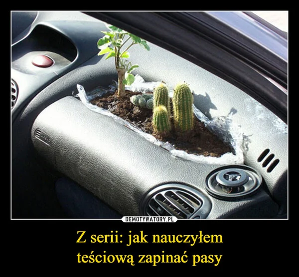 Z serii: jak nauczyłem teściową zapinać pasy