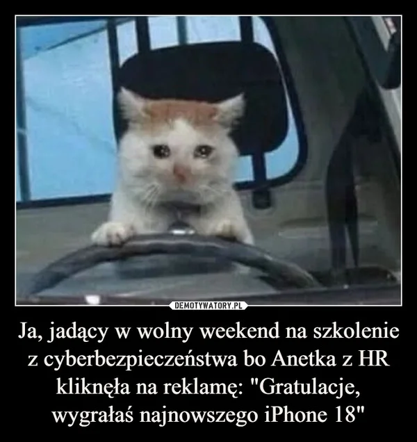 
    Ja, jadący w wolny weekend na szkolenie z cyberbezpieczeństwa bo Anetka z HR kliknęła na reklamę: 