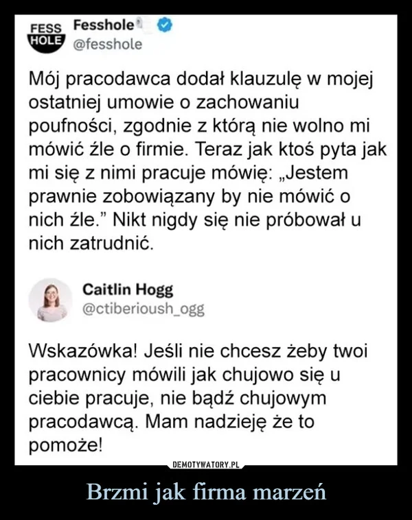 
    Brzmi jak firma marzeń