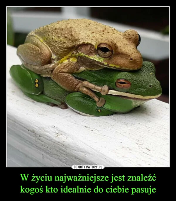 
    W życiu najważniejsze jest znaleźć kogoś kto idealnie do ciebie pasuje
