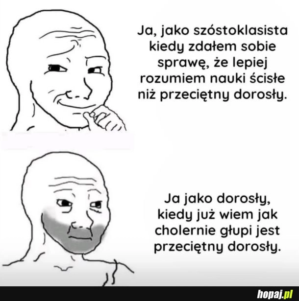 
    Przeciętny dorosły