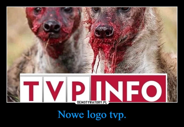 
    Nowe logo tvp.