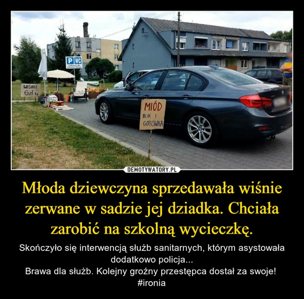 
    Młoda dziewczyna sprzedawała wiśnie zerwane w sadzie jej dziadka. Chciała zarobić na szkolną wycieczkę.