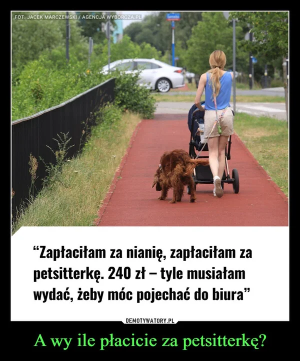 
    A wy ile płacicie za petsitterkę?