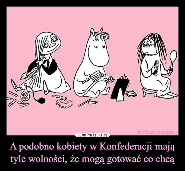 
    A podobno kobiety w Konfederacji mają tyle wolności, że mogą gotować co chcą