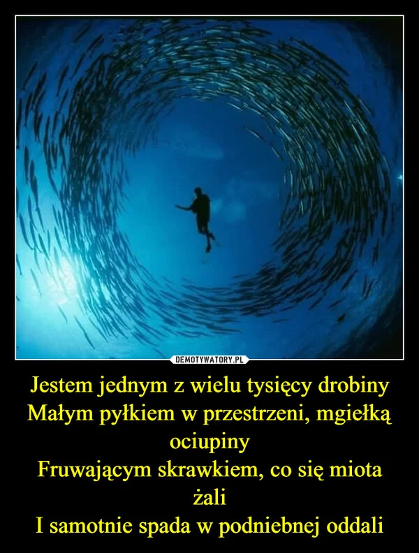 
    Jestem jednym z wielu tysięcy drobiny Małym pyłkiem w przestrzeni, mgiełką ociupiny Fruwającym skrawkiem, co się miota żali I samotnie spada w podniebnej oddali