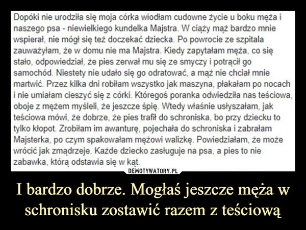 
    I bardzo dobrze. Mogłaś jeszcze męża w schronisku zostawić razem z teściową