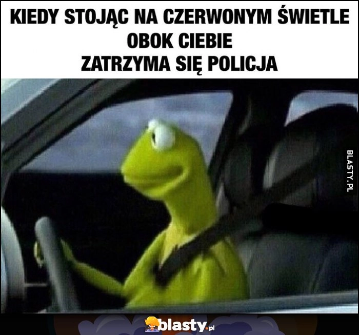 
    Kermit kiedy stojąc na czerwonym świetle obok ciebie zatrzyma się policja