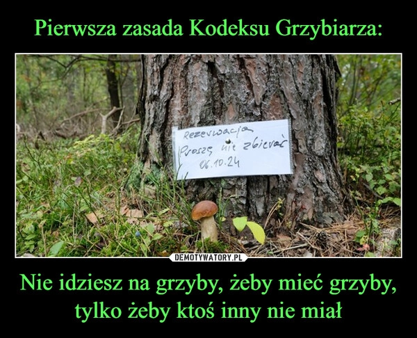 
    Pierwsza zasada Kodeksu Grzybiarza: Nie idziesz na grzyby, żeby mieć grzyby, tylko żeby ktoś inny nie miał