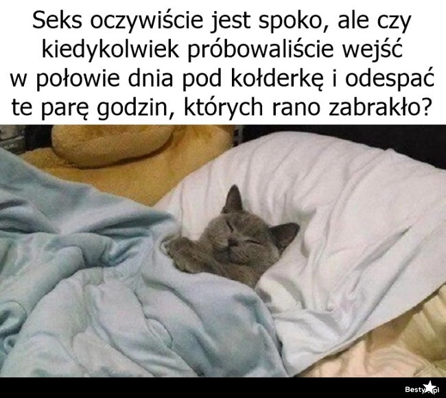 
    Spanko w dzień 