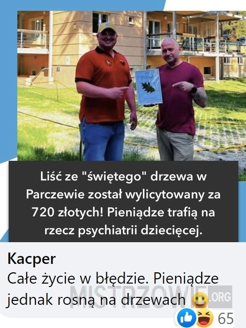 
    Liście