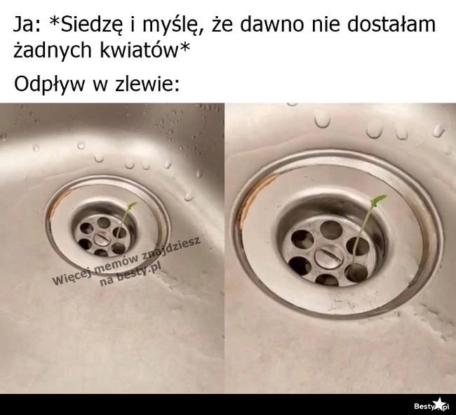 
    Zlew się zlitował 