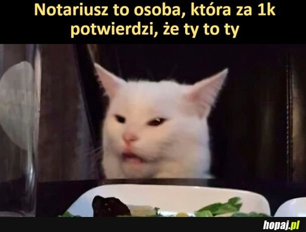 
    Notariusz