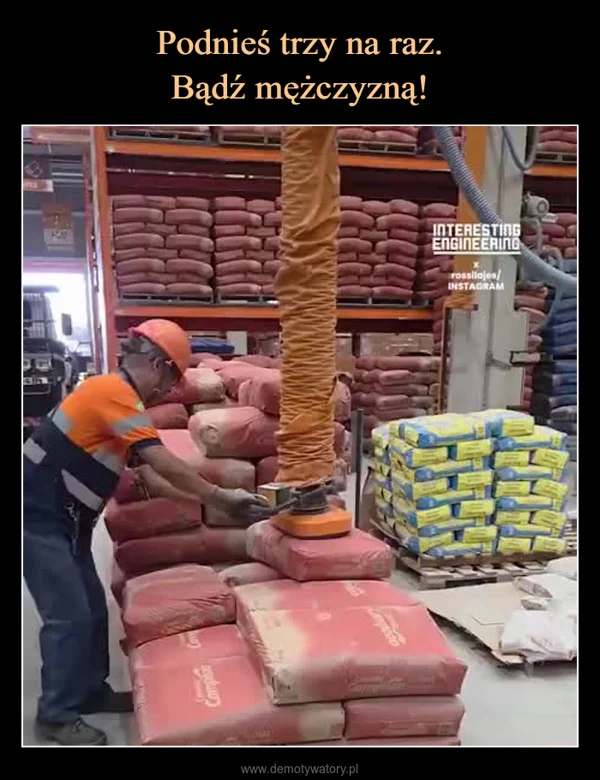 
    Podnieś trzy na raz. Bądź mężczyzną!