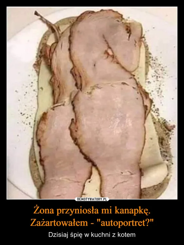 
    Żona przyniosła mi kanapkę. Zażartowałem - 