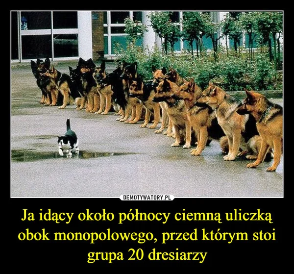 
    Ja idący około północy ciemną uliczką obok monopolowego, przed którym stoi grupa 20 dresiarzy