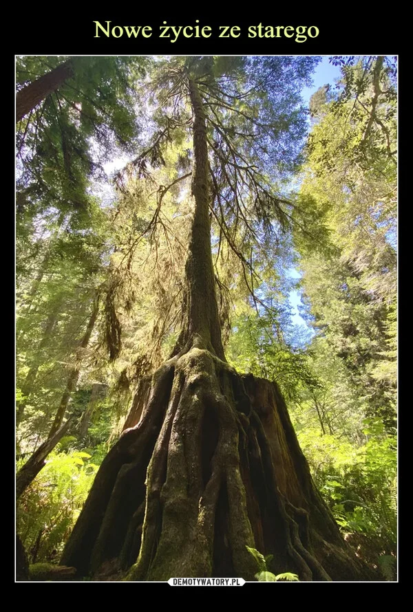 
    Nowe życie ze starego