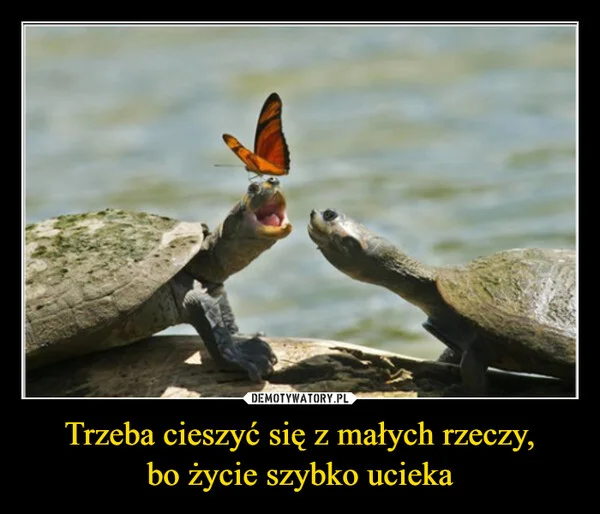 
    Trzeba cieszyć się z małych rzeczy, bo życie szybko ucieka