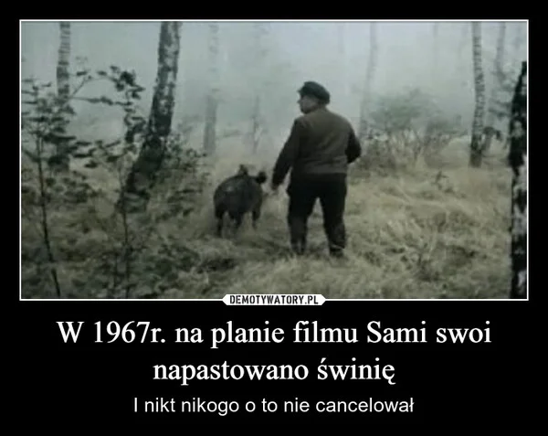 
    W 1967r. na planie filmu Sami swoi napastowano świnię