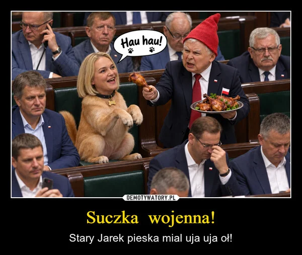 Suczka wojenna!