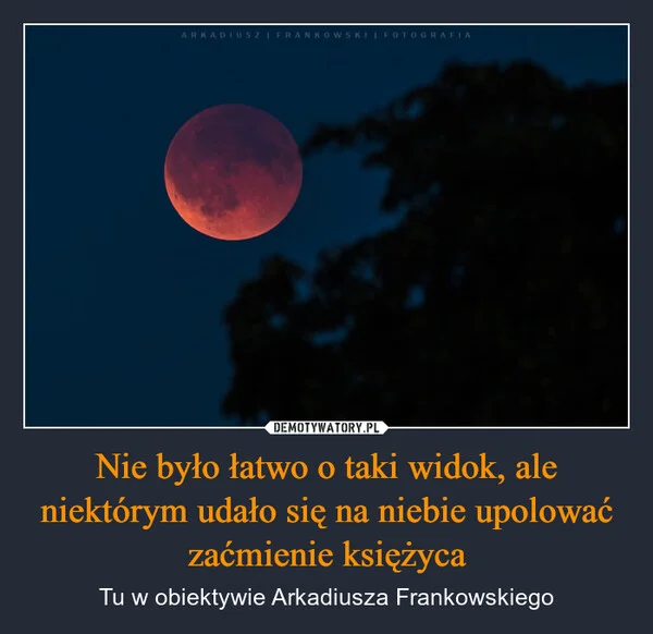 
    Nie było łatwo o taki widok, ale niektórym udało się na niebie upolować zaćmienie księżyca