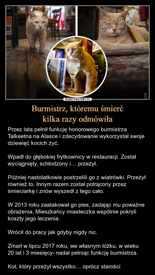 
    Burmistrz, któremu śmierć kilka razy odmówiła
