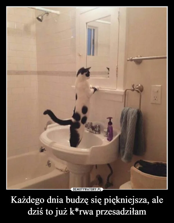 
    Każdego dnia budzę się piękniejsza, ale dziś to już k*rwa przesadziłam