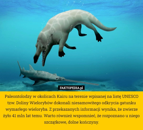 
    Paleontolodzy w okolicach Kairu na terenie wpisanej na listę UNESCO tzw.